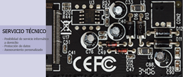 Servicio tecnico RBI